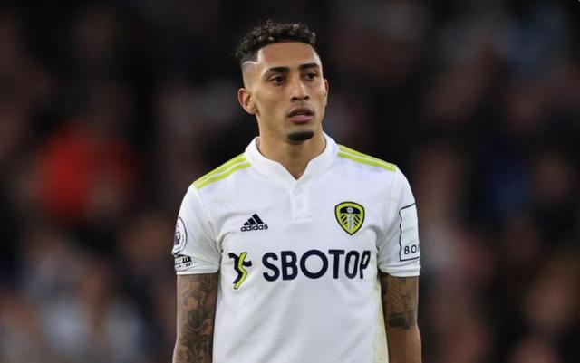 动背后的情 动背后的情