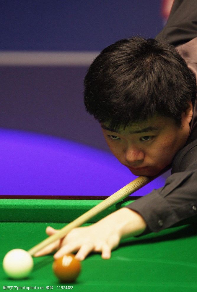 难忘的一年 难忘的一年