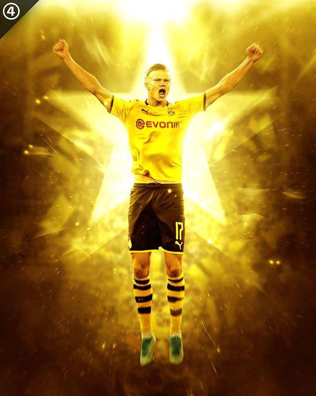 的亏损决定 的亏损决定